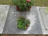 image of grave number 459015
